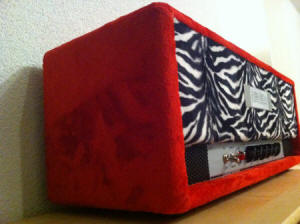 Mace Nemeth's Read Head Guitar Amp (red with zebra)