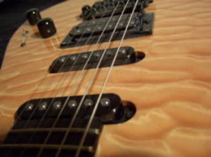 Nemeth Guitar Teaplus Neck view